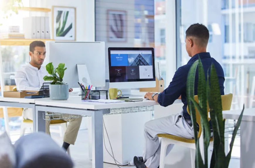 Website development